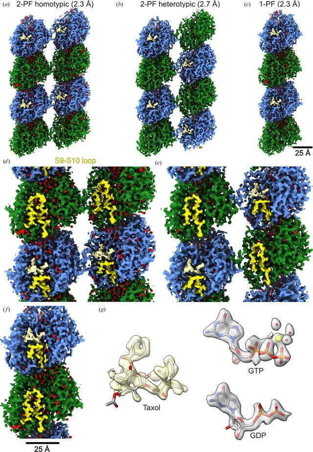[Figure 4]