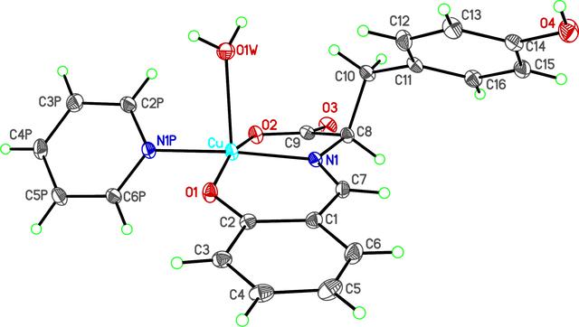 [Figure 1]