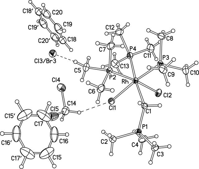 [Figure 1]