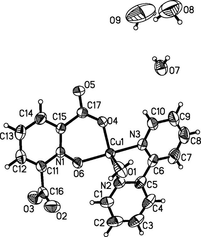 [Figure 1]