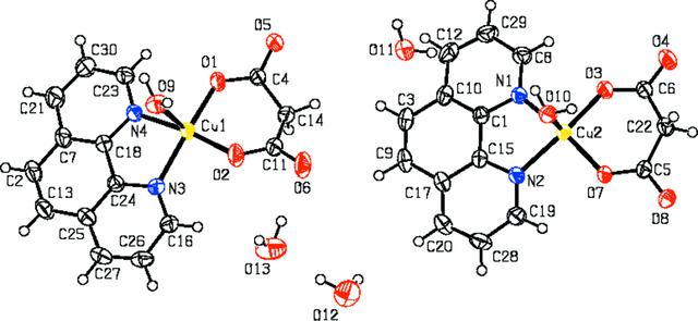 [Figure 1]