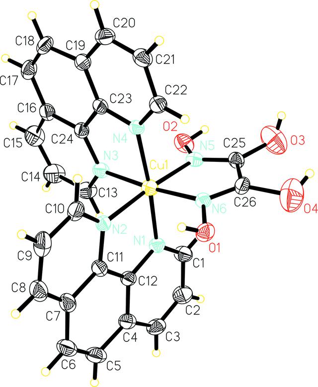 [Figure 1]