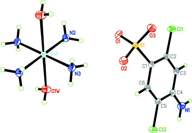 [Figure 1]