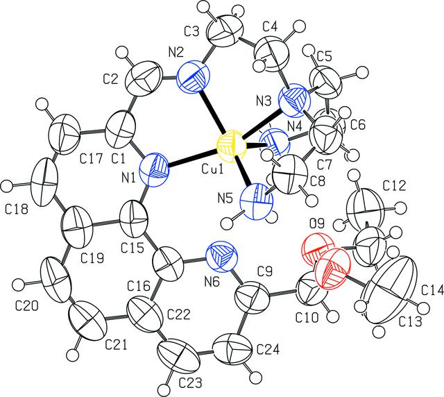 [Figure 1]