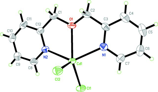 [Figure 1]