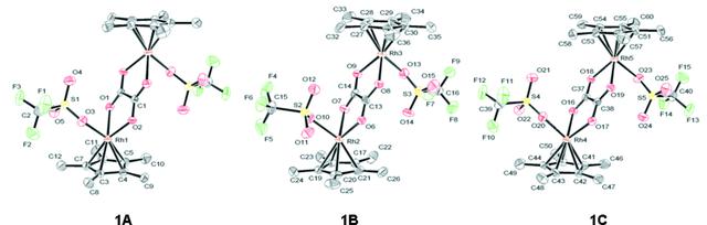 [Figure 1]