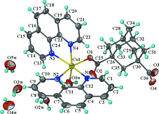 [Figure 1]
