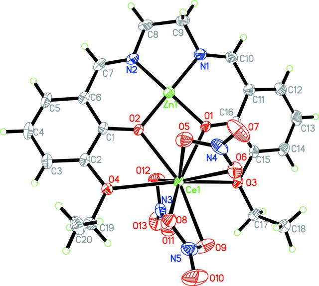 [Figure 1]