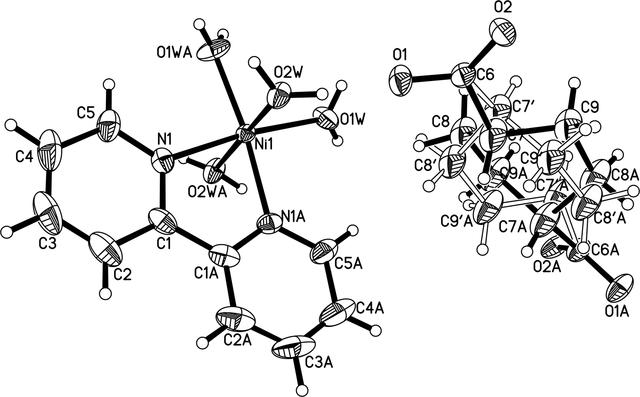 [Figure 1]