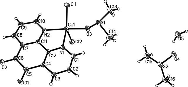 [Figure 1]