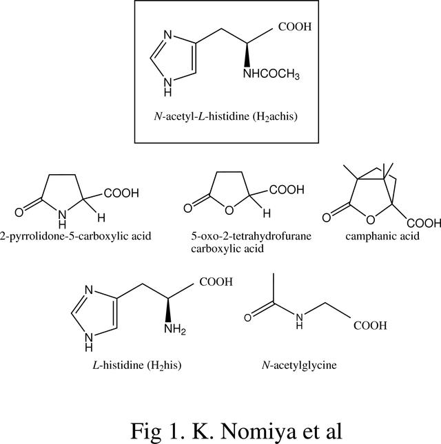 [Figure 1]