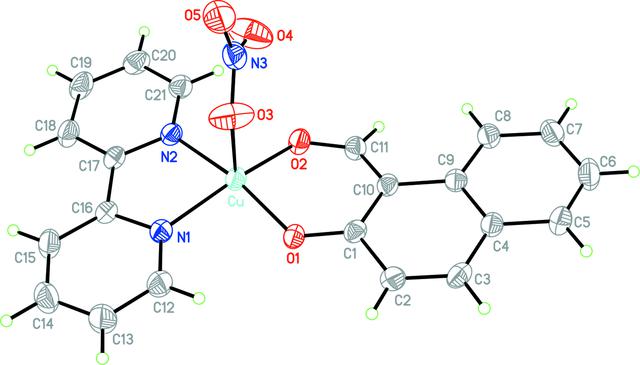 [Figure 1]