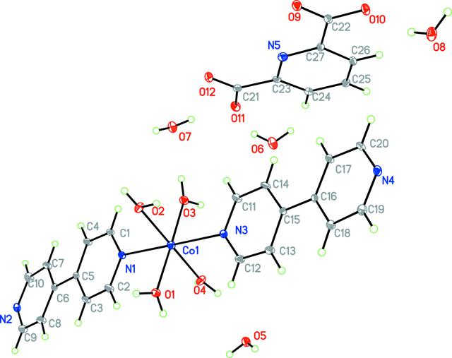 [Figure 1]