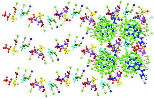 [Figure 6]