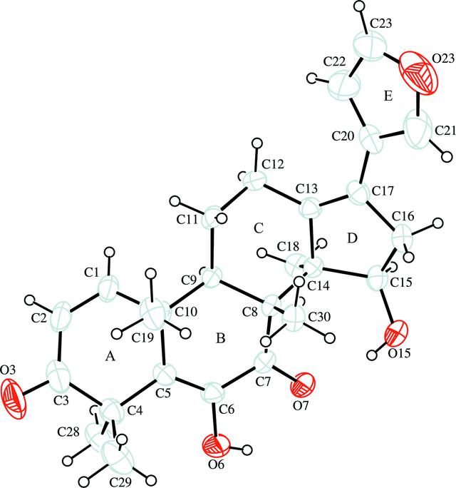[Figure 1]