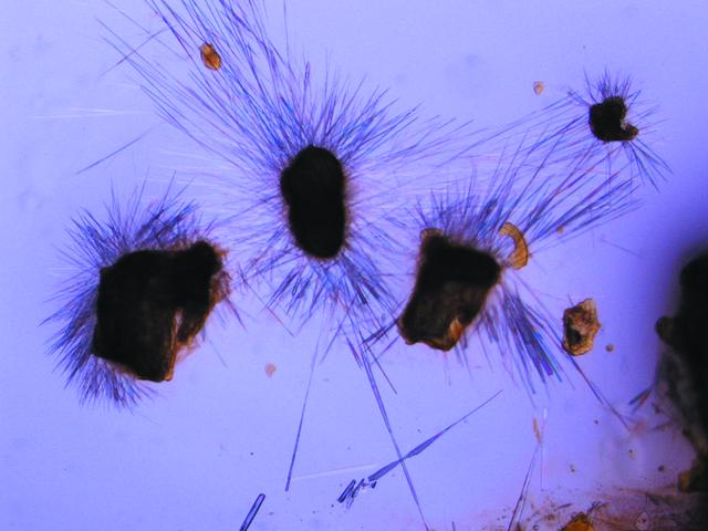 [Figure 2]