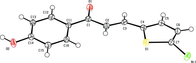 [Figure 1]