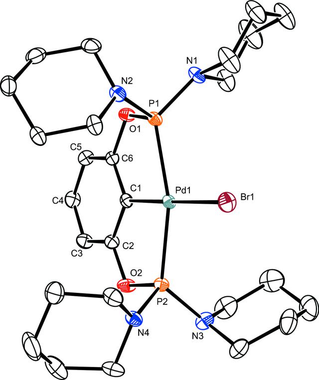 [Figure 1]