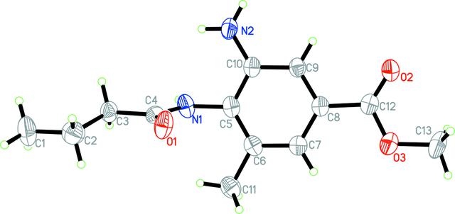 [Figure 1]