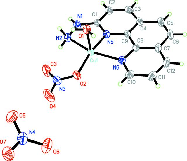 [Figure 1]