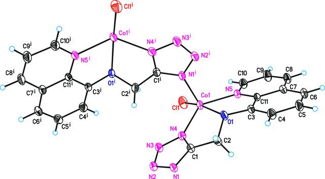 [Figure 1]