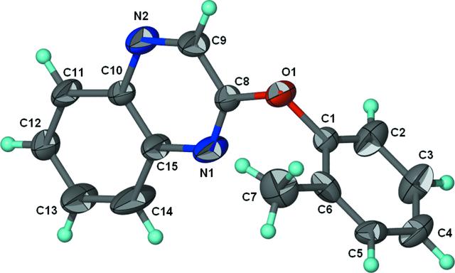 [Figure 1]