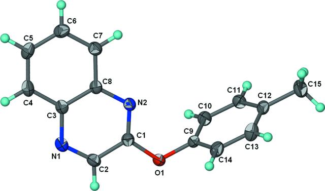 [Figure 1]