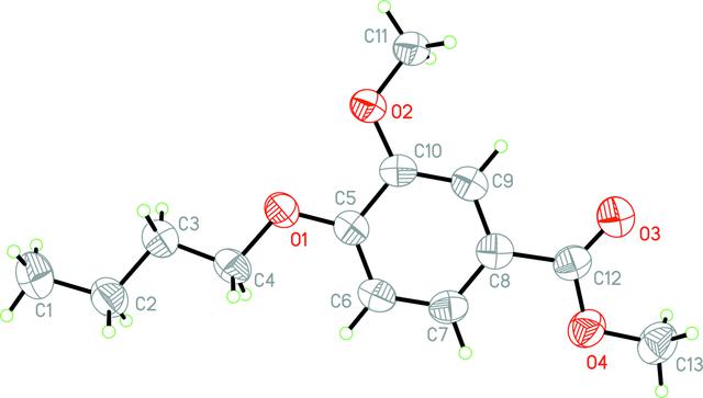 [Figure 1]