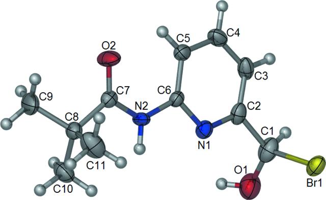 [Figure 1]