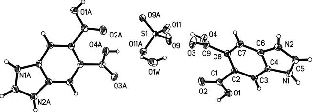 [Figure 1]