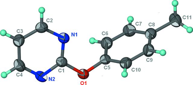 [Figure 1]