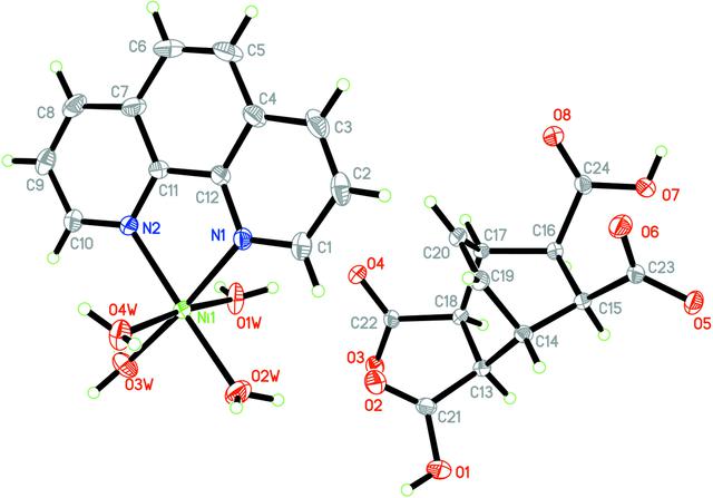 [Figure 1]