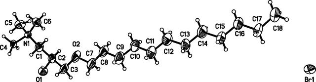 [Figure 1]