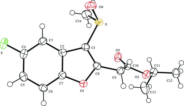 [Figure 1]