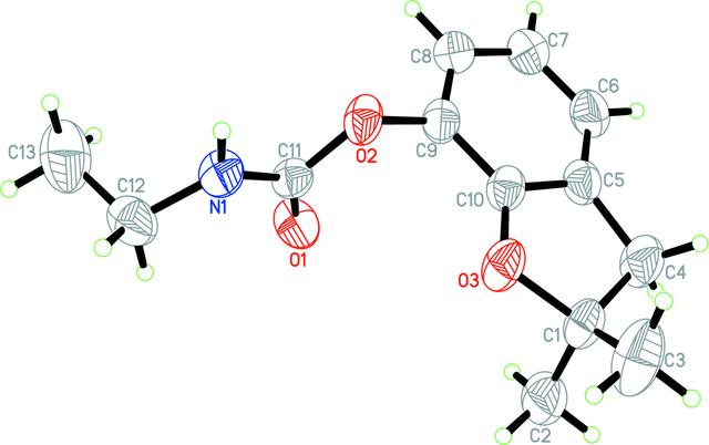 [Figure 1]