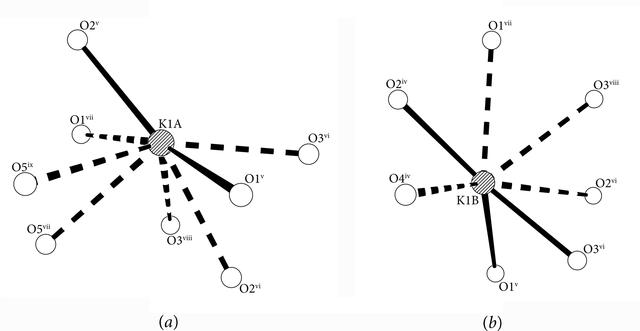 [Figure 4]