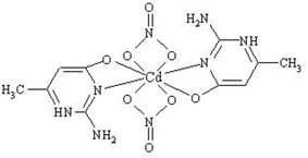 [Scheme 1]