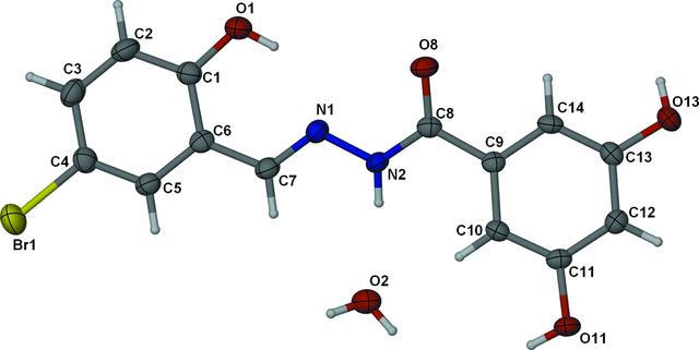 [Figure 1]