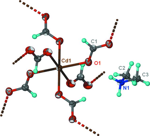 [Figure 1]