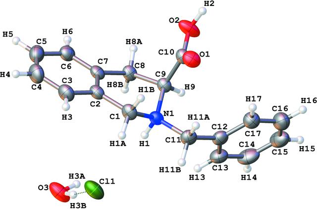 [Figure 1]