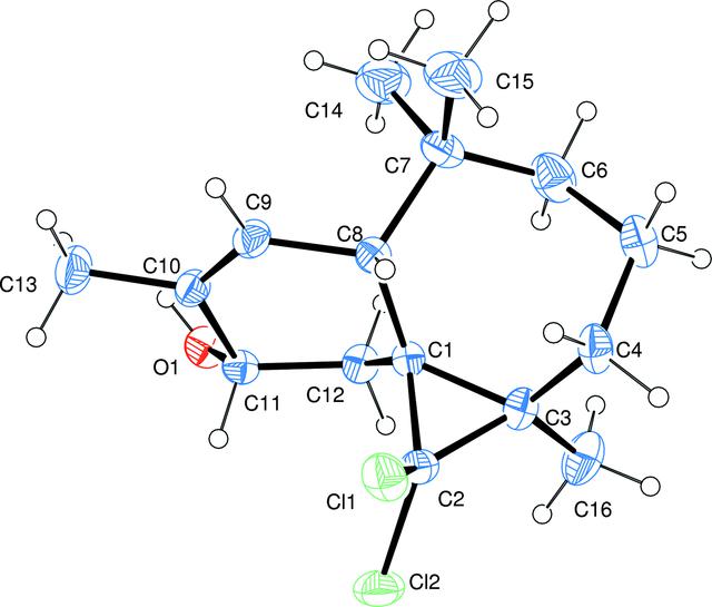 [Figure 1]