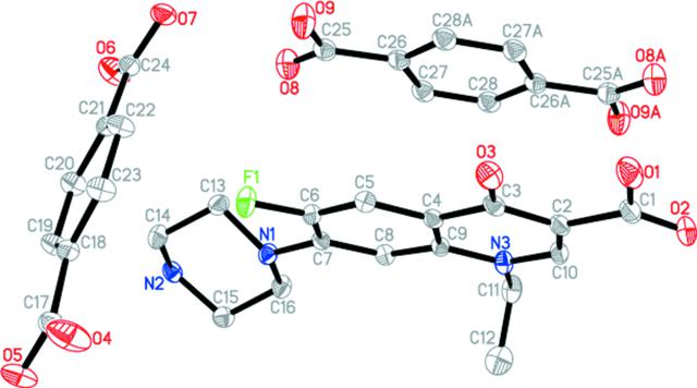 [Figure 1]