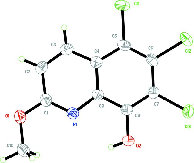 [Figure 1]