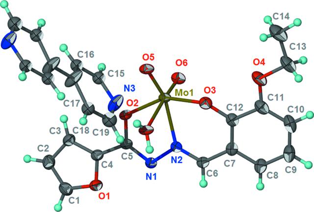 [Figure 1]