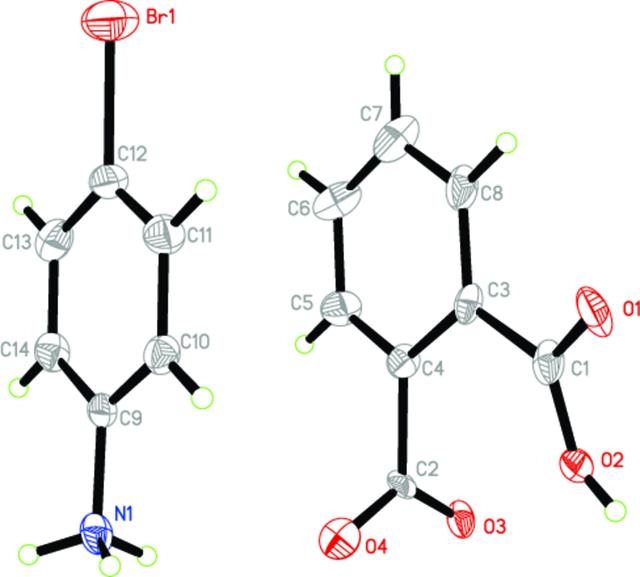 [Figure 1]