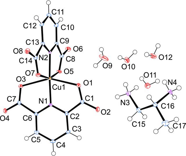 [Figure 1]