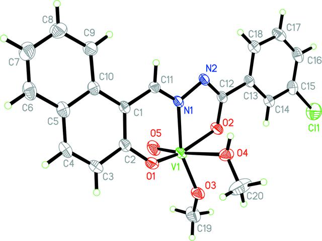 [Figure 1]