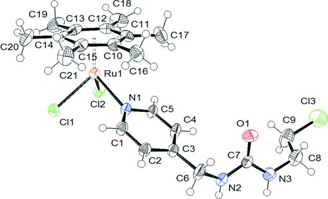 [Figure 1]