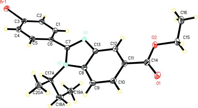 [Figure 1]