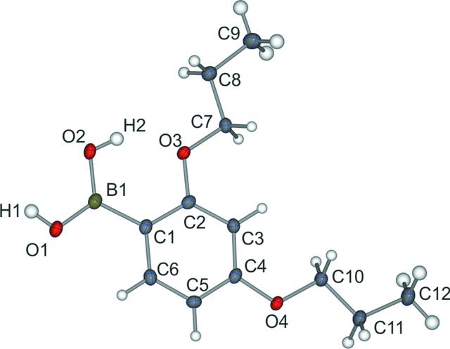 [Figure 1]